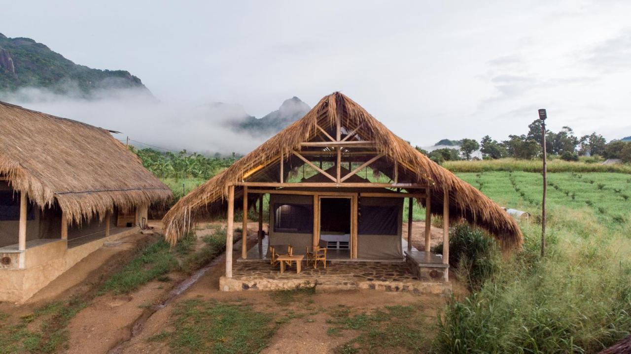 Wild Glamping Gal Oya - Thema Collection Hotel Galgamuwa  Luaran gambar