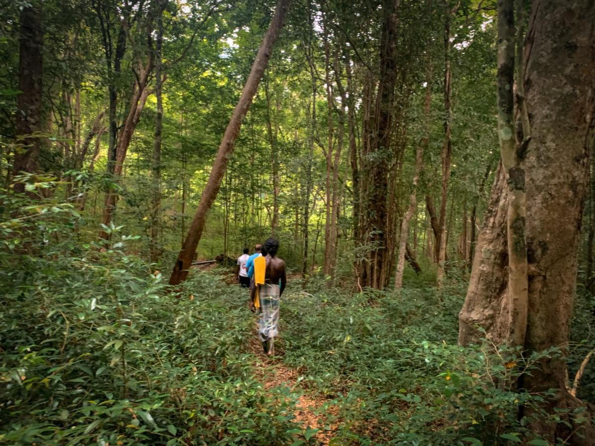 Wild Glamping Gal Oya - Thema Collection Hotel Galgamuwa  Luaran gambar